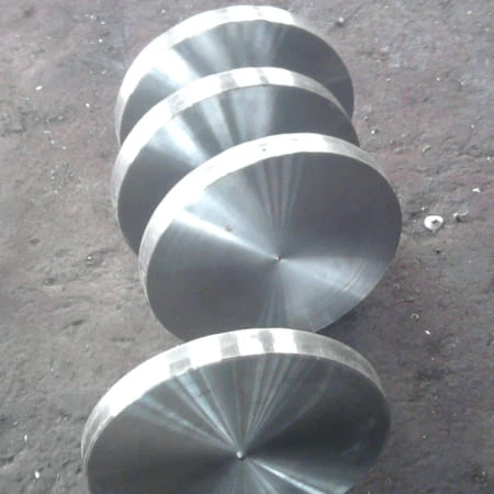 Stainless Steel Disc AISI SS Flange Stainless Steel Disc AISI SS Flange