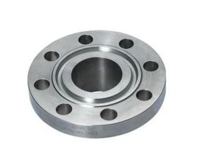 ASTM A182 F55 Duplex S32760/F44 Duplex 254SMO S31254/F904L N08904 SW Flanges