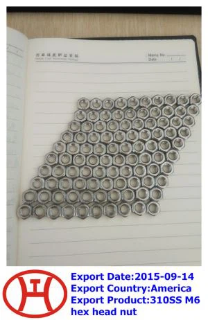 Porca de Cabeça Sextavada 310 SS M 6