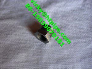 Liga 2000 Hastelloy C-2000 forjado soquete de soldagem SW acessórios para tubos rosqueados