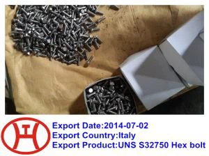 UNS 32750 Hex Bolt
