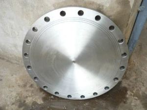 ASTM B564 Inconel 600 ASME B16.47 Serises B 75# 150# 300# 400# 600# 900# Alloy 600 Welding Neck Blind Flange