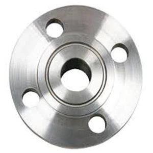 Flange 316l