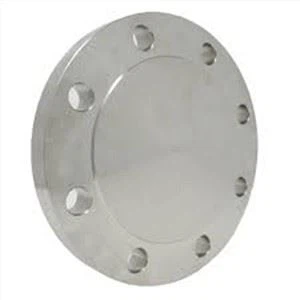 Flange cega 347H