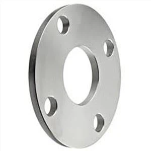 Flange da placa 347H